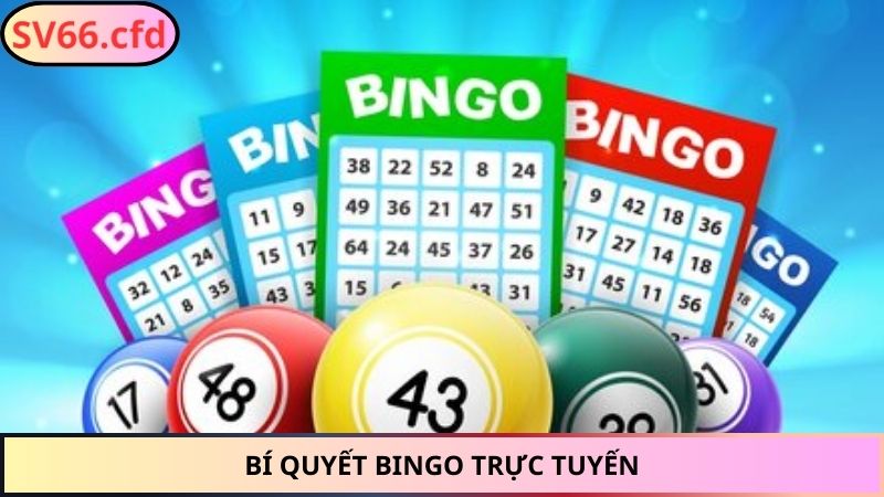 Bí quyết bingo trực tuyến