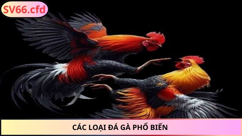 Các loại đá gà phổ biến 