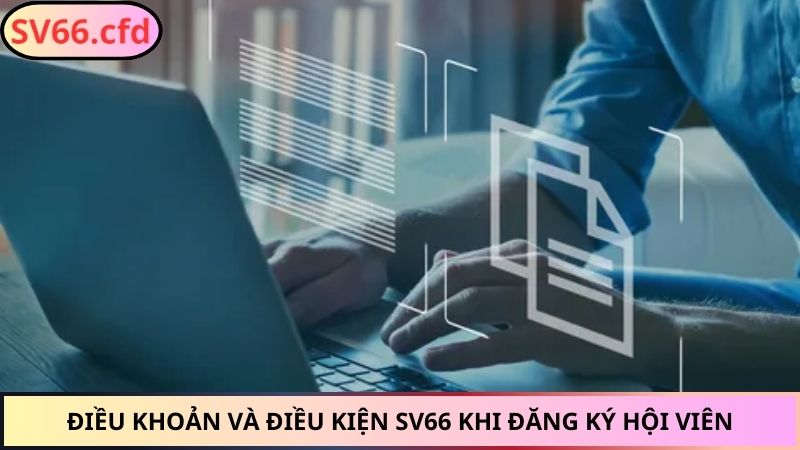 Điều khoản và điều kiện SV66 khi đăng ký hội viên