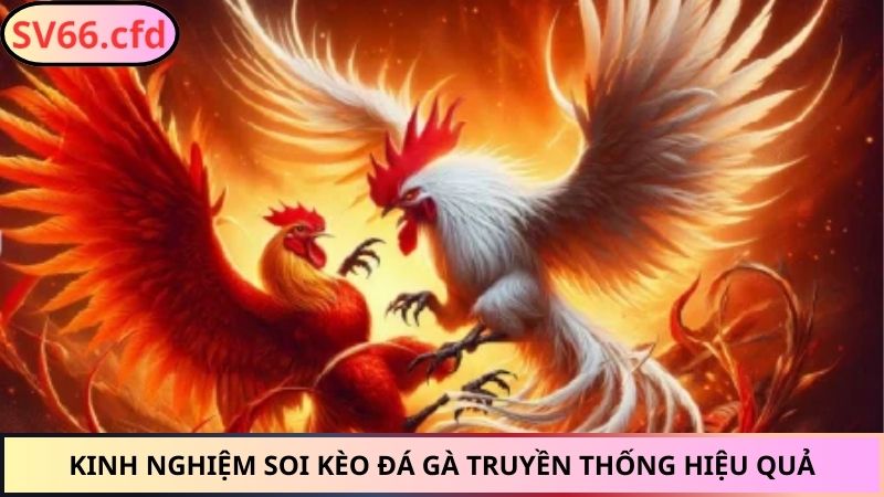 Kinh nghiệm soi kèo đá gà truyền thống hiệu quả